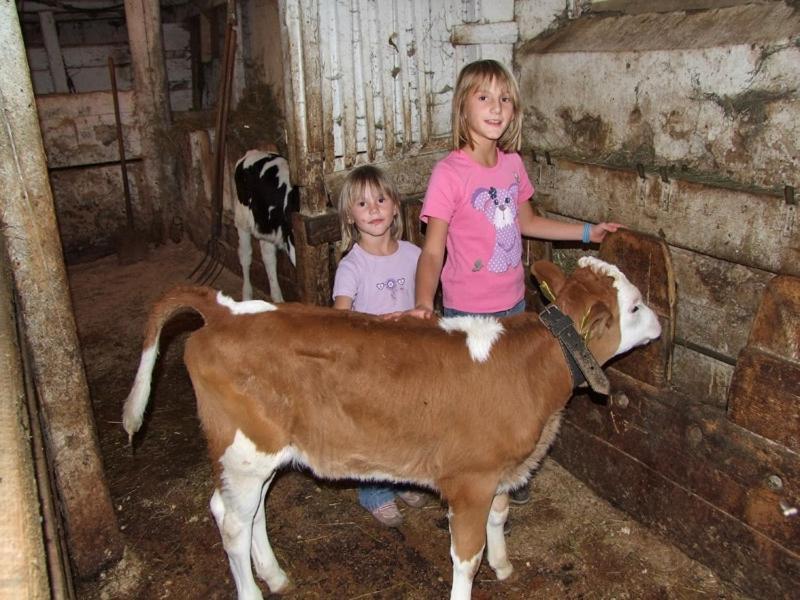בוהין Farmhouse Soklic מראה חיצוני תמונה